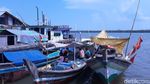 Foto: Tempat Melihat Lumba-lumba di Palembang