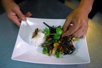 Buat yang Doyan Ulat dan Belalang, Wajib Mampir ke Kafe Serangga Ini