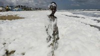 Padahal busa-busa ini bisa dikatakan beracun. Bisa dibayangkan, beberapa perusahaan farmasi juga menyumbang limbahnya ke Sungai Cooum tanpa ada perlakuan khusus. Kandungan kimia yang berbahaya tak tersaring dan warga terpapar langsung dari busa-busa ini (Arun SANKAR / AFP)