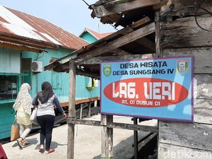 Pesona Desa Wisata Sungsang, Lumba-lumba hingga Burung Migran