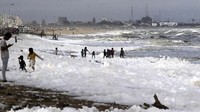 Fenomena busa putih di Pantai Marina, Chennai, India baru terjadi seminggu ini. Setelah diteliti, busa yang memenuhi pantai tak begitu saja terjadi (AP Photo/R.Parthibhan/CNN)