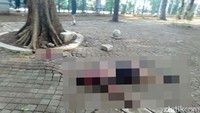Kedua personel TNI yang diketahui bernama Serka Fajar dan Praka Gunawan tersebut dipastikan masih hidup. Foto: Istimewa.