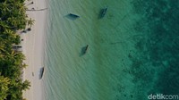 Selain pantai berpasir putih, daya tarik lain dari Ngurbloat adalah wisata alam bawah lautnya yang cantik banget. Traveler bisa diving dan snorkeling di sekitar pantai (Didik Dwi Haryanto/detikcom)