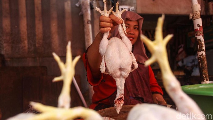 Badan Pusat Statistik mencatat angka inflasi selama November 2019 sebesar 0,14%. Kenaikan harga bawang ikut memicu inflasi sepanjang bulan ini.