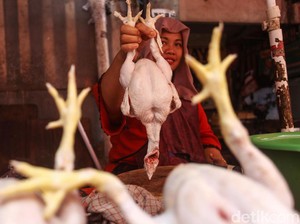 Ada Inflasi di Tengah Resesi, Daya Beli Mulai Pulih?