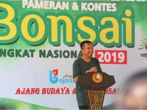 Bojonegoro Manjakan Pencinta Bonsai dengan Pameran dan Kontes