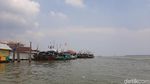 Foto: Tempat Melihat Lumba-lumba di Palembang