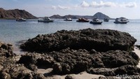 Bukit Padar yang berada di pulau ini kerap jadi tujuan para wisatawan untuk mengabadikan keindahan alam lewat bidikan kamera.