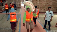 Beras bisa mengalami penurunan kualitas atau pembusukan jika tersimpan selama enam bulan.