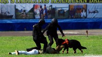 Dalam simulasi tersebut, anggota polisi Polairud nampak dibantu oleh anjing polisi yang telah dilatih untuk membantu menjaga keamanan maupun membantu penyelidikan.