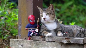 Pemain musik. Foto: facebook.com/spidey.adventure/