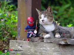 Aksi Kocak Spider-Man yang Bikin Ngakak