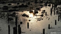 Land subsidence adalah fenomena yang tengah dialami Jakarta. Istilah ini diartikan sebagai peristiwa penurunan permukaan tanah. Dalam kasus terparah, land subsidence bisa menyebabkan permukaan tanah ambles
