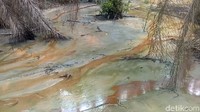 Berdasarkan data dari Dinas Lingkungan Hidup Daerah Kabupaten Batanghari Jambi, selama bulan September 2019, luas lahan hutan yang rusak akibat tambang minyak ilegal mencapai 225 hektar. Kerusakan itu terjadi akibat tercemar limbah-limbah berbahaya tumpahan minyak.Oleh karena itu, penutupan dan penyegelan ratusan sumur minyak ini dilakukan dalam rangka memberantas tambang minyak ilegal di kawasan tersebut.
