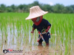 Aksi Kocak Spider-Man yang Bikin Ngakak