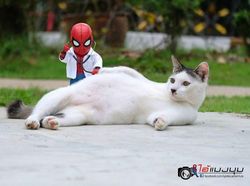 Aksi Kocak Spider-Man yang Bikin Ngakak