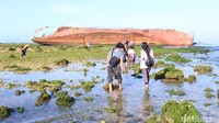 Pantai Pangandaran akan selalu jadi pantai favorit wisatawan, terutama di kawasan Jawa Barat. Banyak wisatawan ke sini untuk liburan, atau sekadar mencari kelomang. (Wisma Putra/detikcom)
