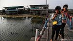 Potret Pesisir Jakarta Utara yang Terancam Tenggelam