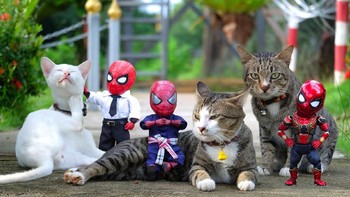 Jika ingin melihat foto kocak lainnya, kamu bisa mengunjungi Faceboo Page Spidey. Adventure di sini. Foto: facebook.com/spidey.adventure/