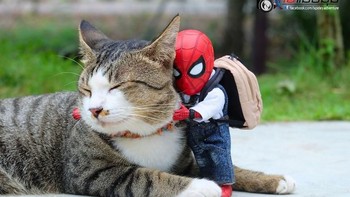 Facebook Page Spidey-Adventure rutin mengupload foto yang menampilkan aksi Spider-Man. Foto: facebook.com/spidey.adventure/