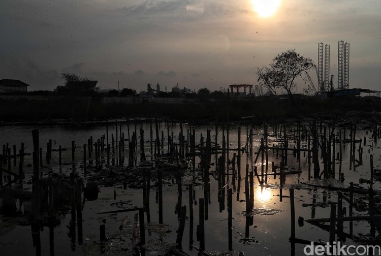 Sejumlah warga beraktiftas di kawasan Pantai Marunda yang terdampak Rob, Selasa (3/12). Kota Jakarta diprediksi akan tenggelam di tahun 2050, atau bahkan lebih cepat. Beberapa kajian menyebutkan bahwa di Jakarta Utara penurunan permukaan tanah mencapai 7,5-18 cm per tahun.