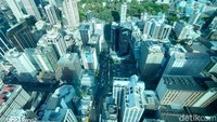 Potret ibukota Auckland di Selandia Baru. Inilah 7% daratan Zealandia yang tak berada di bawah permukaan laut (Edwidhian Tri/detikcom)