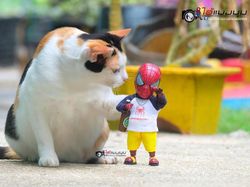 Aksi Kocak Spider-Man yang Bikin Ngakak