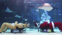 Diketahui, Natal menjadi salah satu hari libur nasional yang paling dinanti di Korea Selatan. Berbagai persiapan dan acara pun digelar di bulan Desember untuk menyambut Natal.