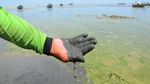 Potret Pantai Rembang yang Tercemar Limbah