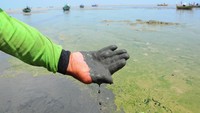 Menurut nelayan setempat sejak sebulan terakhir kawasan pantai sepanjang lima kilometer tersebut tercemar limbah yang diduga berasal dari aktivitas puluhan pabrik pengolahan ikan di wilayah sekitar.