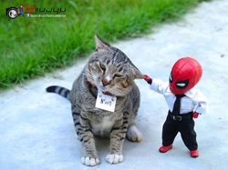 Aksi Kocak Spider-Man yang Bikin Ngakak