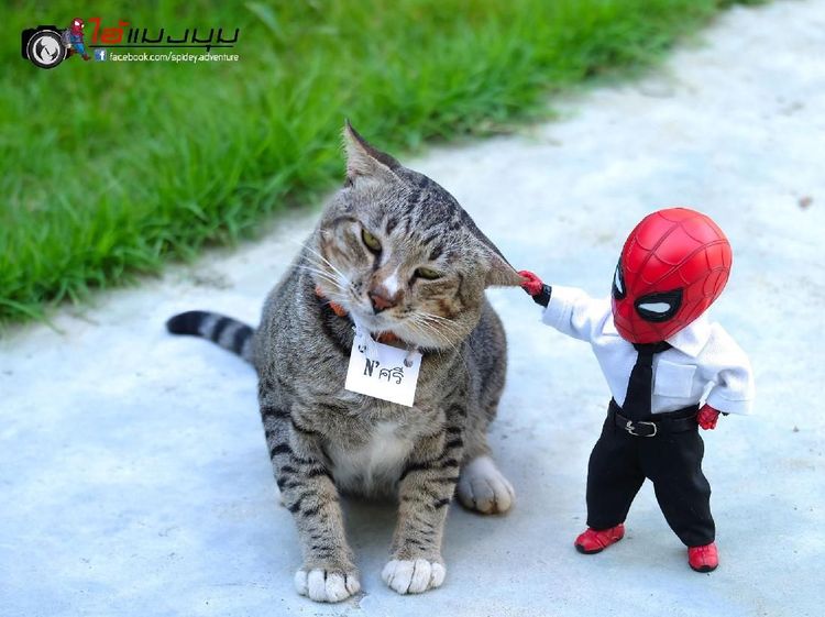Aksi Kocak Spider-Man yang Bikin Ngakak