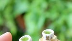 Gemas! Bentuk Makanan Ini Berbentuk Miniatur Mini