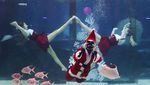 Aksi Sinterklas-Putri Dayung Sambut Natal di Akuarium Seoul