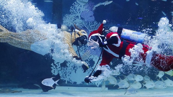 Aksi Sinterklas-Putri Dayung Sambut Natal di Akuarium Seoul