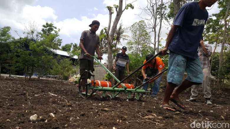Permudah Sistem Tanam Padi, Warga Gunungkidul Ciptakan Atabela Permudah Sistem Tanam Padi, Warga Gunungkidul Ciptakan Atabela