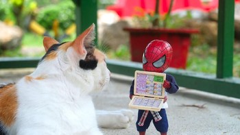 Membaca detik.com Foto: facebook.com/spidey.adventure/