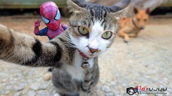 Selfie bersama teman. Foto: facebook.com/spidey.adventure/