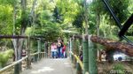 Foto: Hutan Bambu Instagramable dari Malang