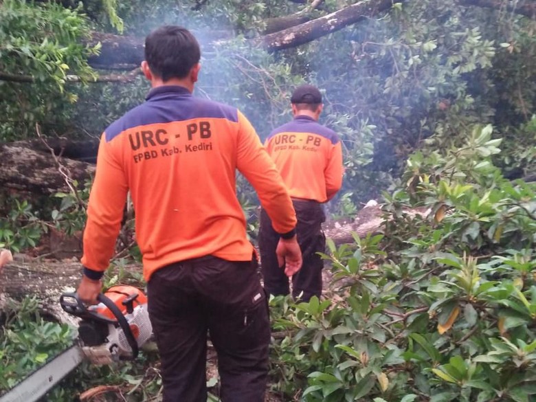 Hujan Deras Disertai Angin Kencang Rusak Belasan Rumah di Kediri Hujan Deras Disertai Angin Kencang Rusak Belasan Rumah di Kediri
