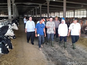Ini Langkah Khofifah Kurangi Impor Susu di Jawa Timur