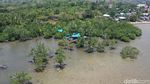 Foto Drone Hutan Bakau yang Cantik dari Maluku Tenggara