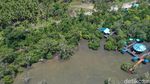 Foto Drone Hutan Bakau yang Cantik dari Maluku Tenggara