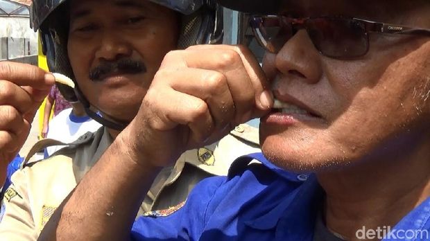 Larva Tawon Vespa yang Gurih Manis Dinikmati Warga Kudus