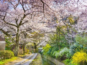 10 Jalanan Paling Instagramable di Dunia