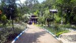 Foto: Hutan Bambu Instagramable dari Malang