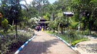 Selaras dengan namanya, Boon Pring menampilkan beragam varietas pring atau bambu. Di sini, ada hutan bambu yang Instagramable. (Hilda Meilisa/detikcom)