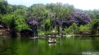 Ada danau lengkap dengan ratusan ikan di dalamnya. Pengunjung bisa langsung menyapa ikan-ikan yang nampak dari permukaan air sambil naik bebek-bebekan. (Hilda Meilisa/detikcom)