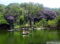 5 Destinasi Wisata ala Jepang yang Instagramable di Malang dan Kota Batu
