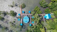 Sebagai destinasi wisata, Desa Dian Darat yang memanfaatkan hutan bakau untuk menggaet wisatawan. Konsep yang ditawarkan tak kalah menarik (Foto: Didik Dwi Haryanto/detikcom)
